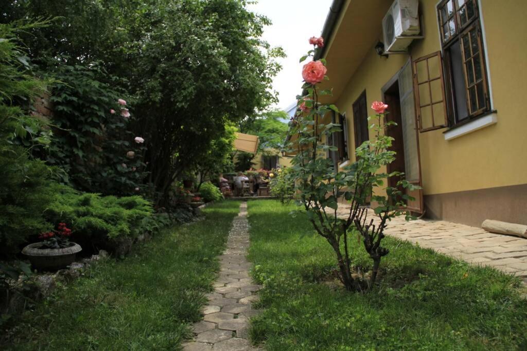 Apartman Brankova Kuca Сремски-Карловци Экстерьер фото